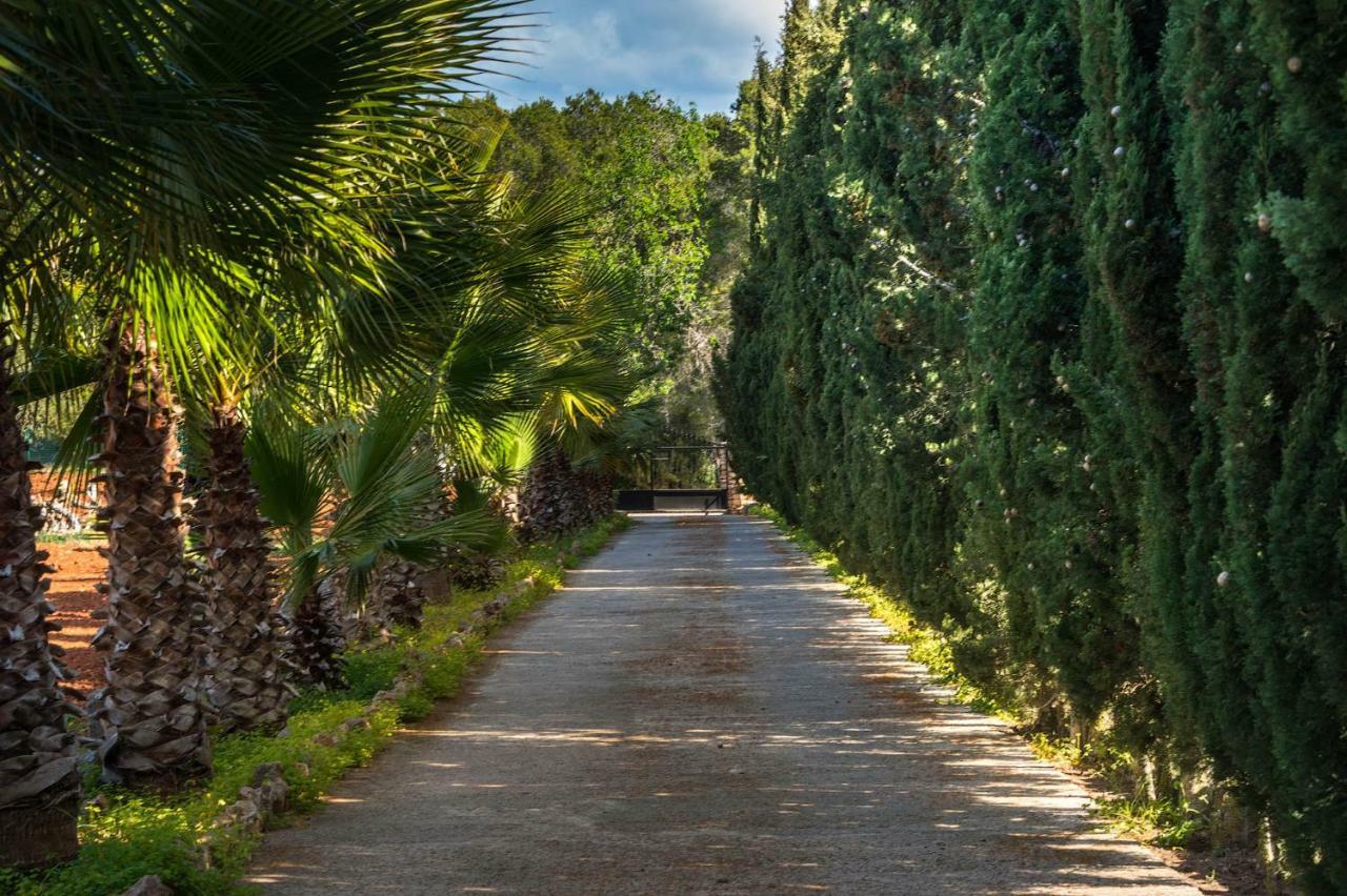 Villa Can Fita Puig D'en Valls ภายนอก รูปภาพ